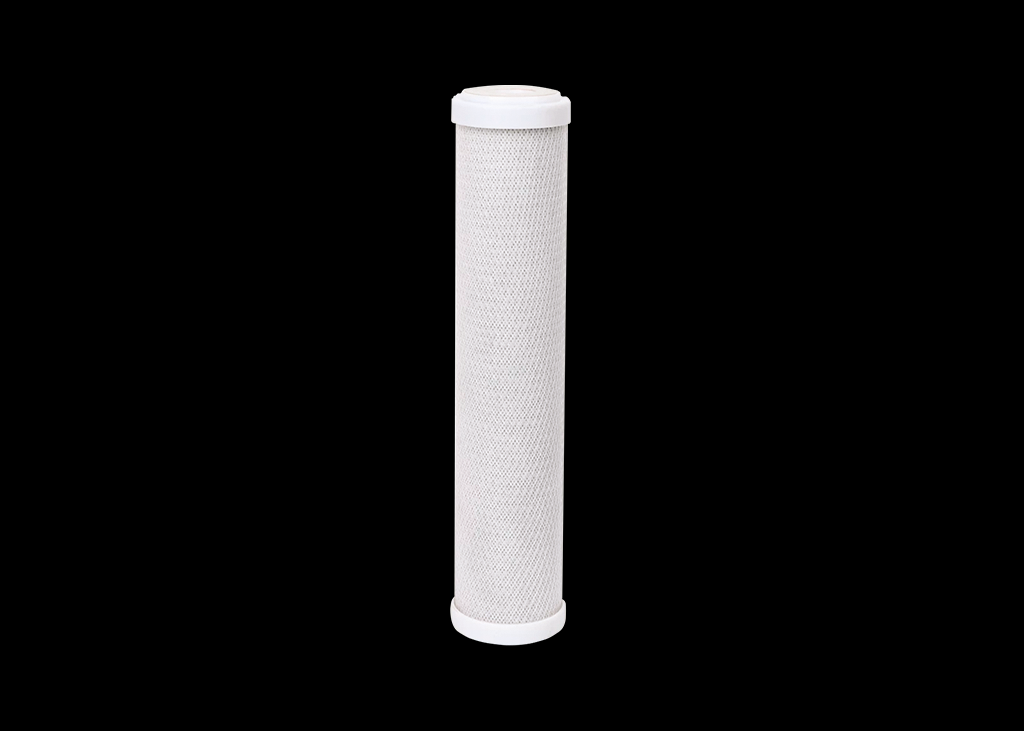 Carbon Block de 10'