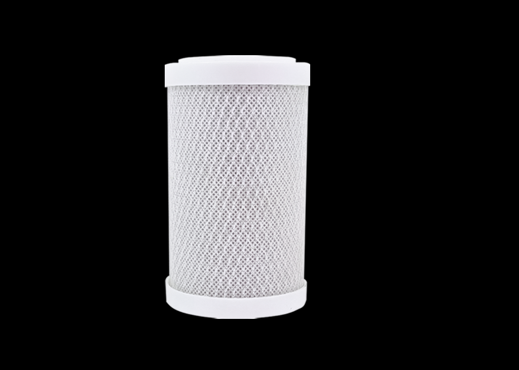 Carbon Block de 10'